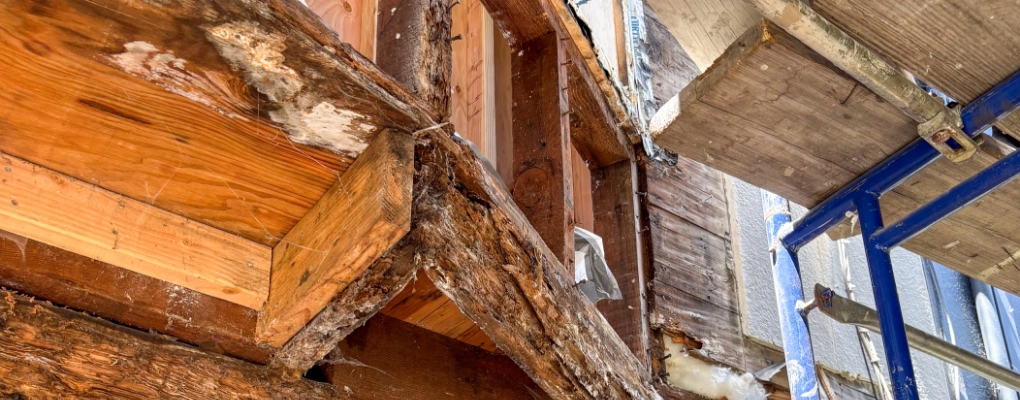 The Matthew Kelly Construction Team repairs Dry Rot & Termite damage on a home exterior.